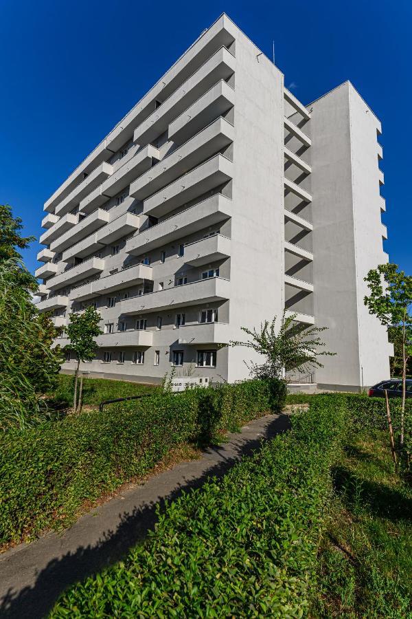 Koa - Pandora Apartments Брашов Экстерьер фото